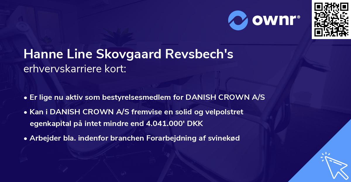Hanne Line Skovgaard Revsbech's erhvervskarriere kort