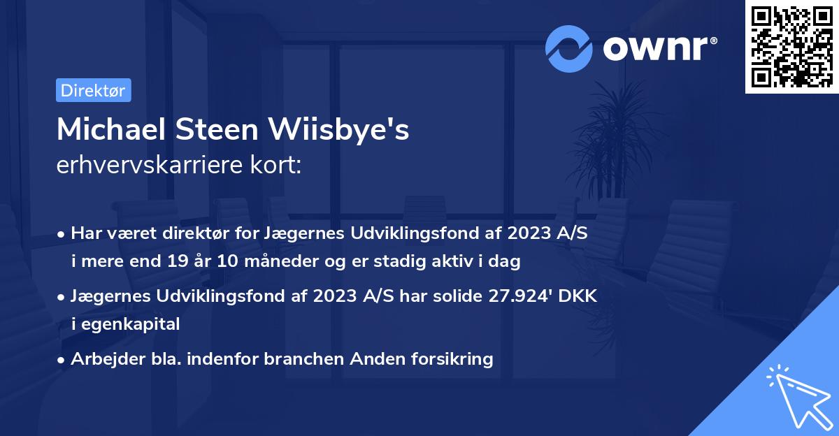 Michael Steen Wiisbye's erhvervskarriere kort