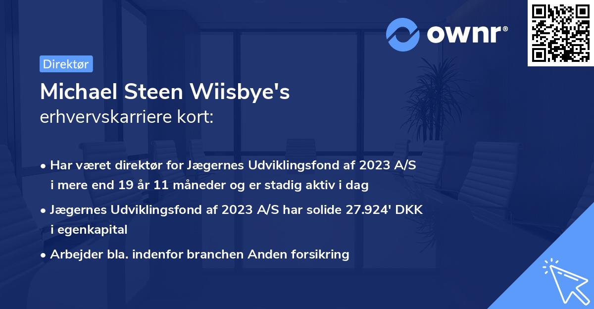 Michael Steen Wiisbye's erhvervskarriere kort