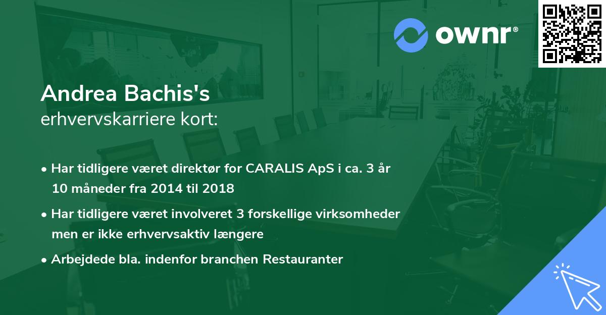 Andrea Bachis's erhvervskarriere kort