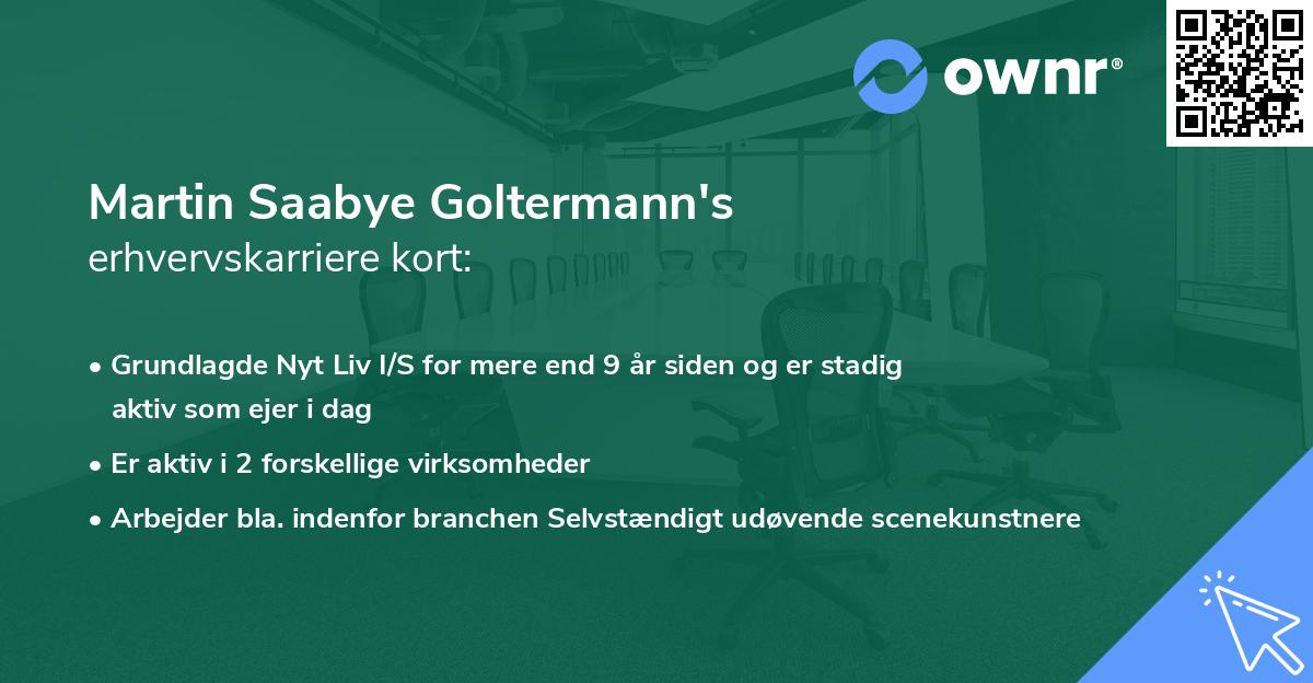 Martin Saabye Goltermann's erhvervskarriere kort