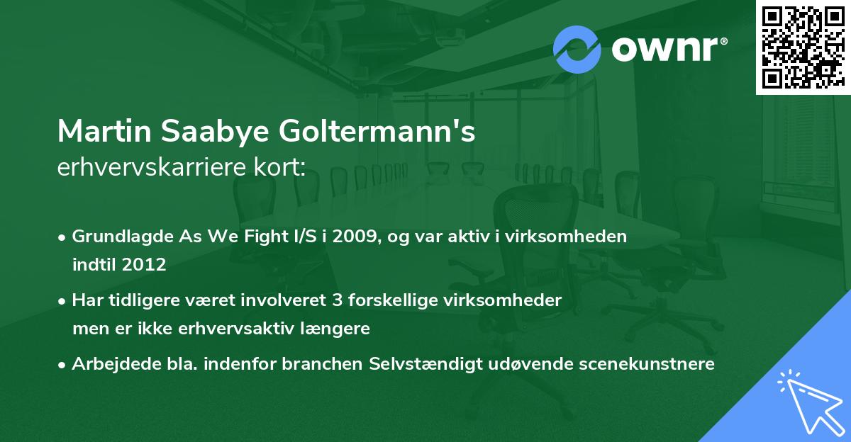 Martin Saabye Goltermann's erhvervskarriere kort