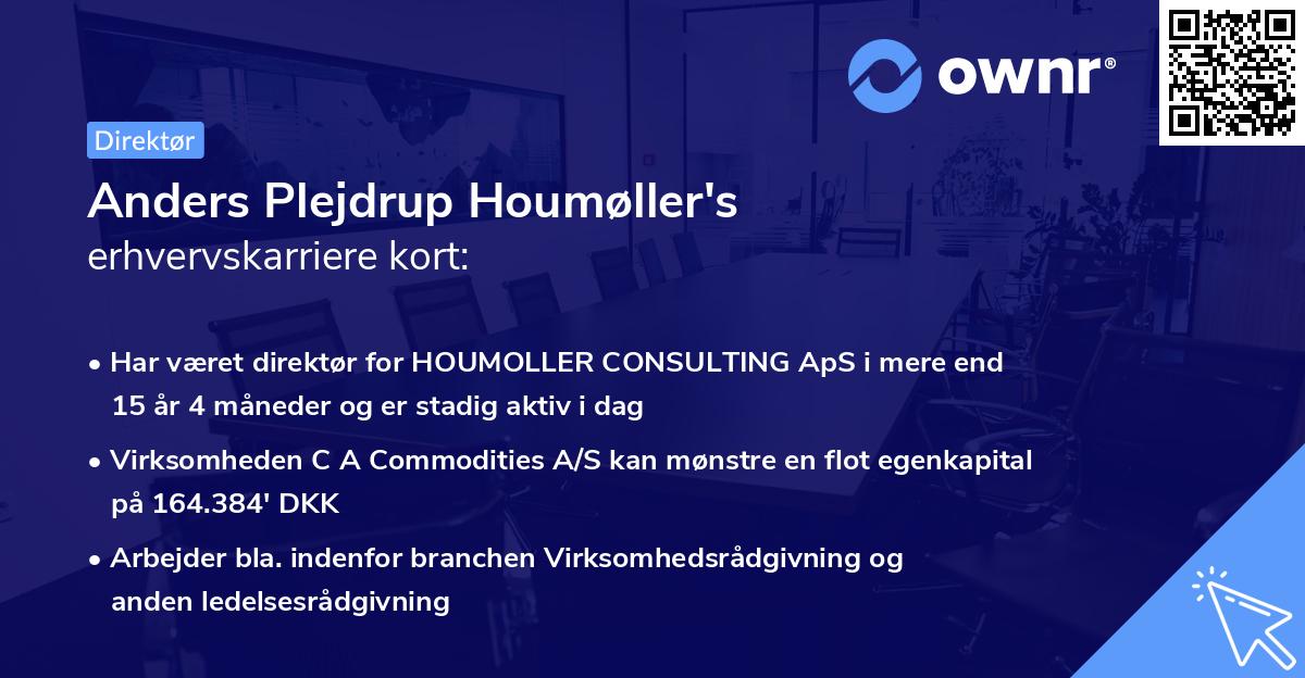 Anders Plejdrup Houmøller's erhvervskarriere kort