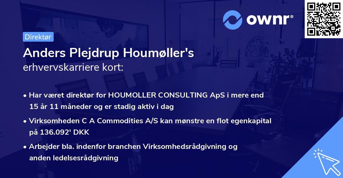 Anders Plejdrup Houmøller's erhvervskarriere kort