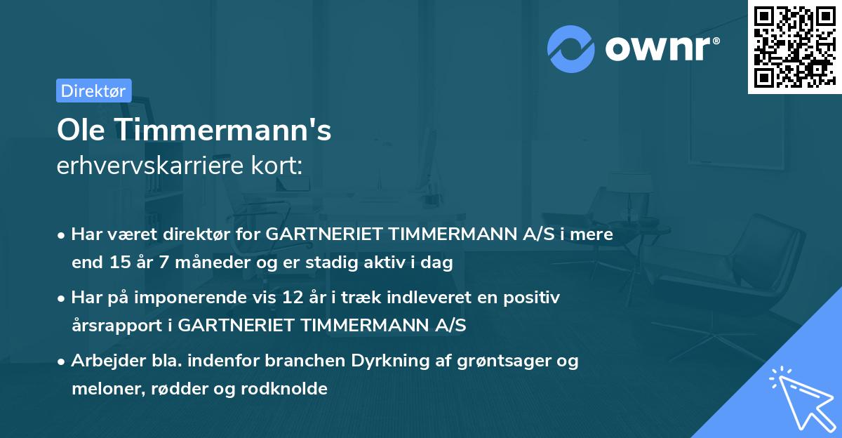 Ole Timmermann's erhvervskarriere kort