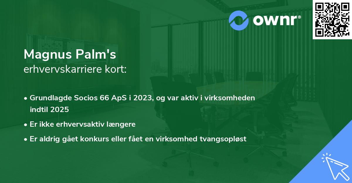 Magnus Palm's erhvervskarriere kort