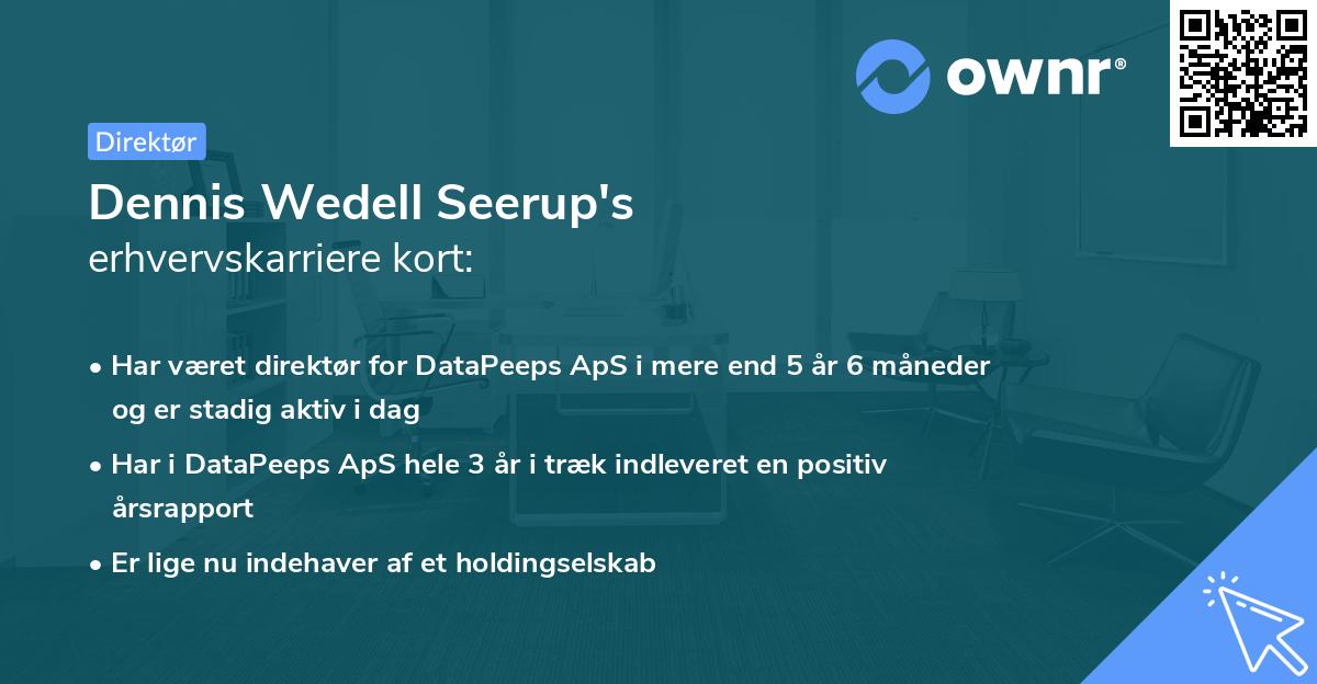 Dennis Wedell Seerup's erhvervskarriere kort