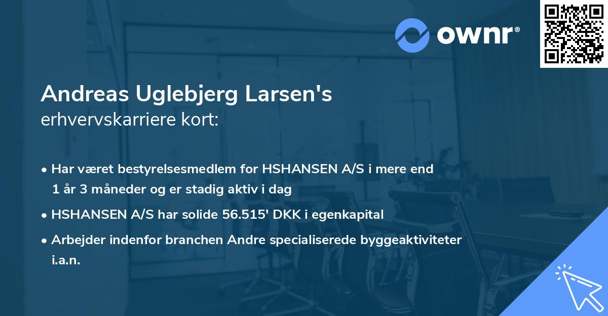 Andreas Uglebjerg Larsen's erhvervskarriere kort