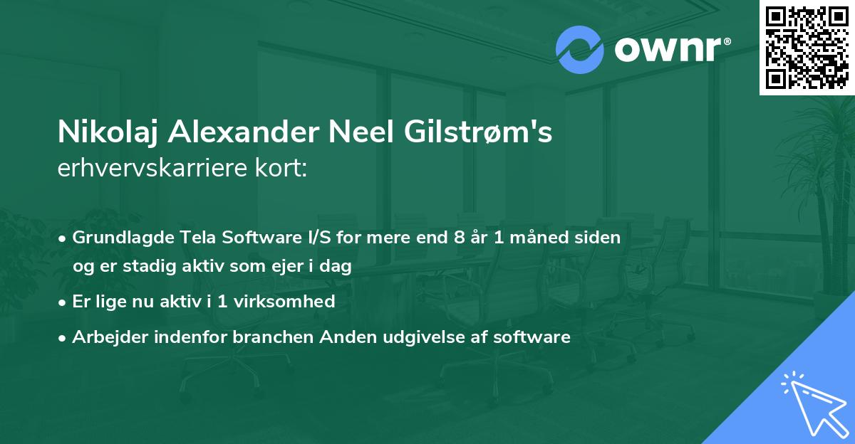 Nikolaj Alexander Neel Gilstrøm's erhvervskarriere kort