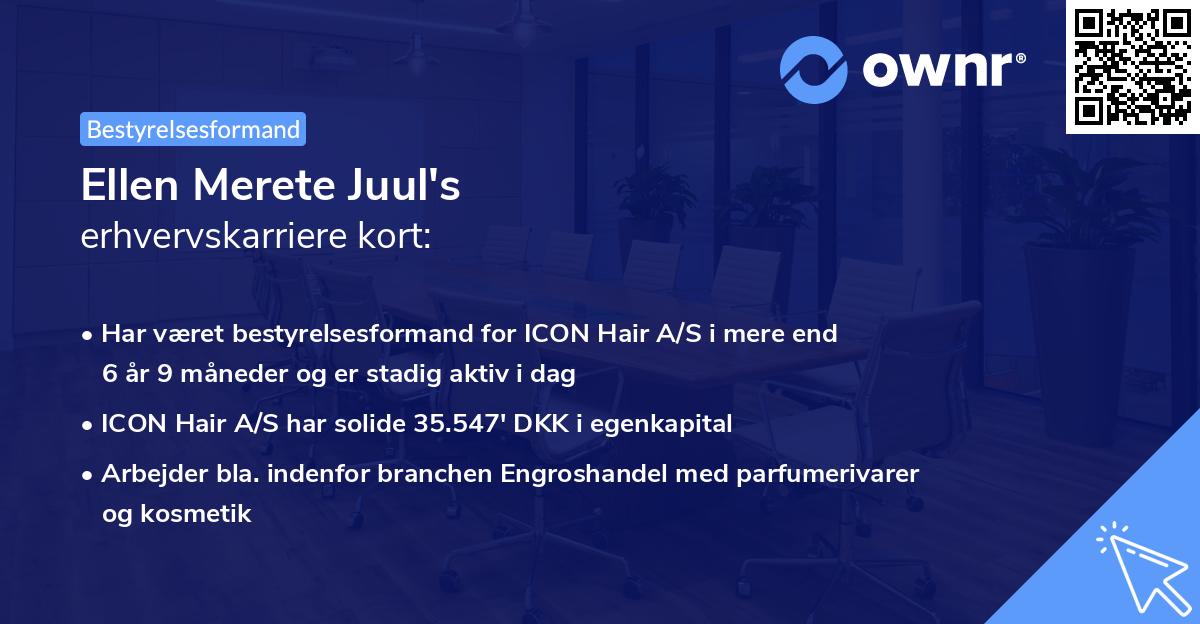 Ellen Merete Juul's erhvervskarriere kort