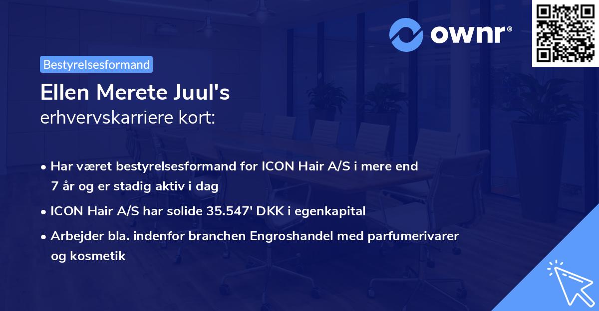 Ellen Merete Juul's erhvervskarriere kort