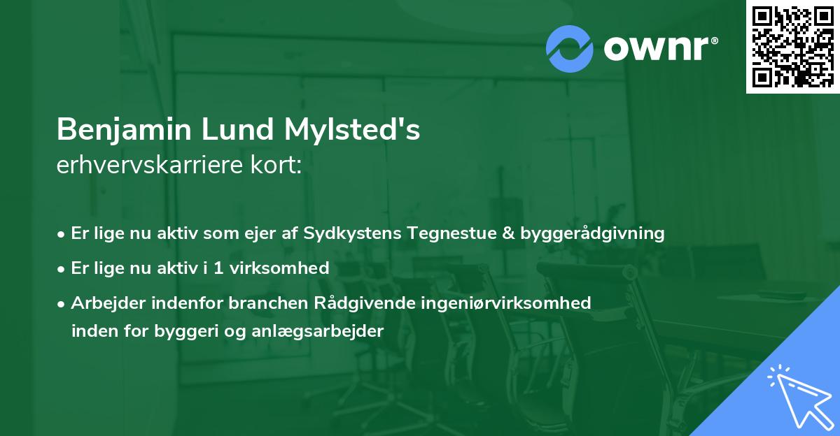 Benjamin Lund Mylsted's erhvervskarriere kort