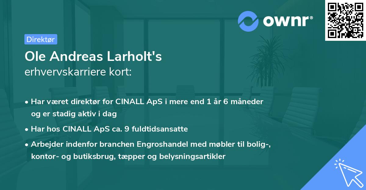 Ole Andreas Larholt's erhvervskarriere kort