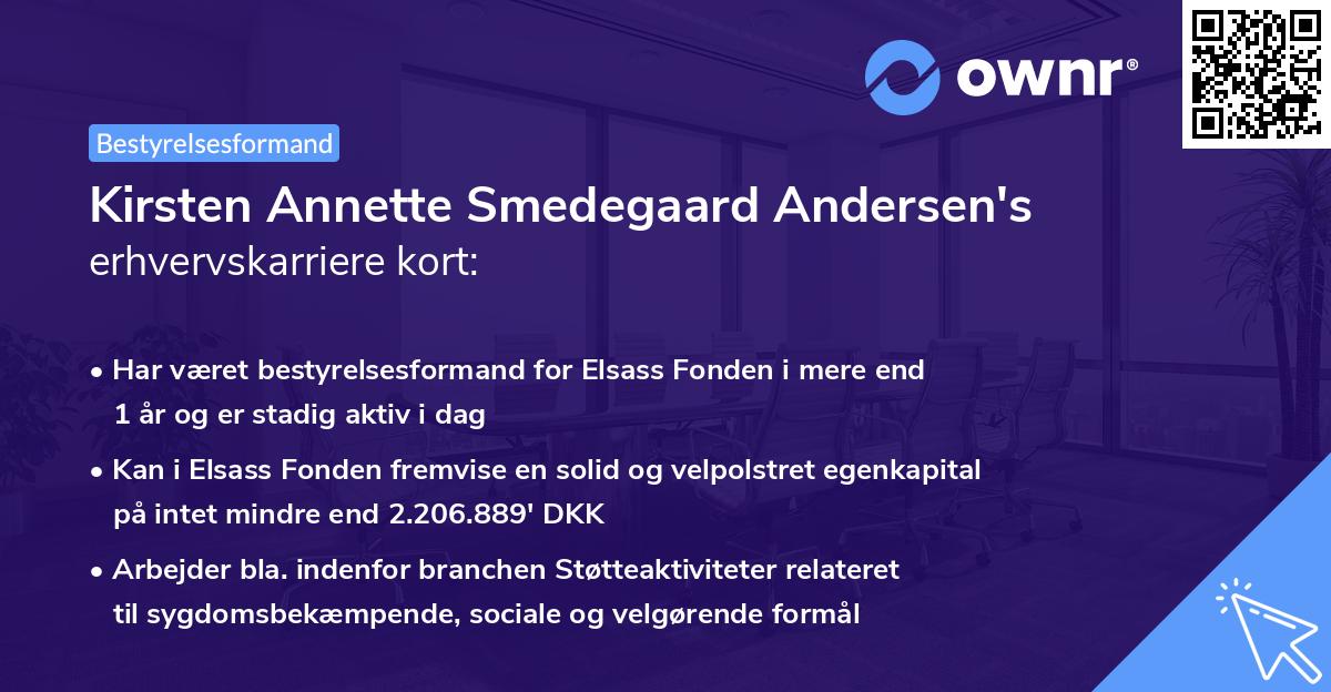 Kirsten Annette Smedegaard Andersen's erhvervskarriere kort