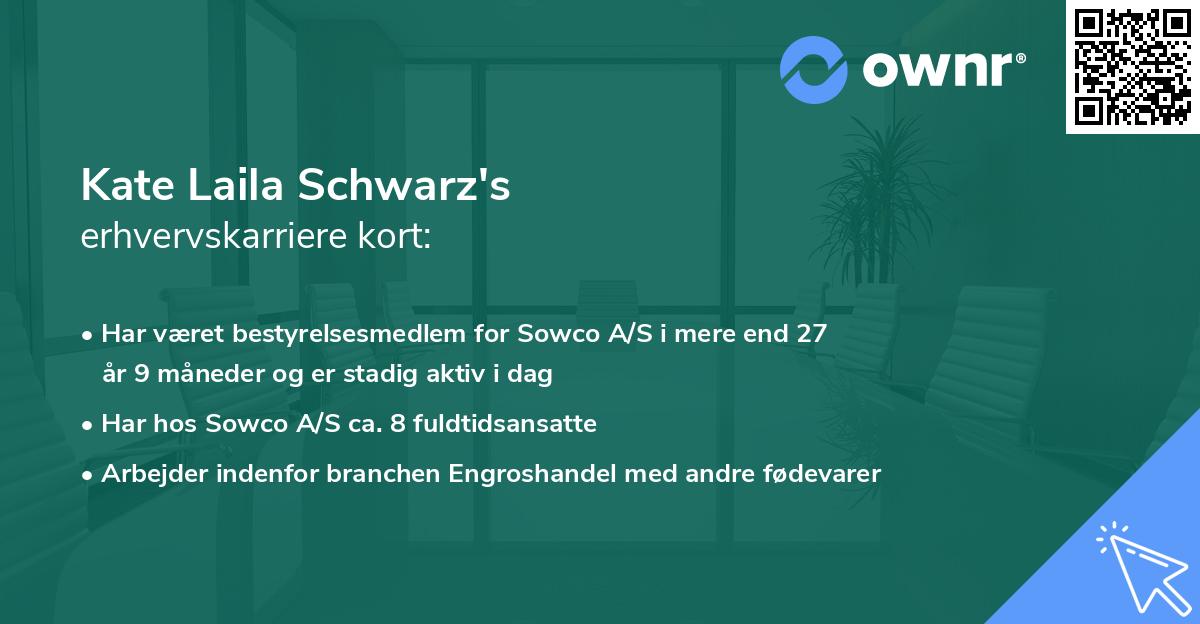Kate Laila Schwarz's erhvervskarriere kort