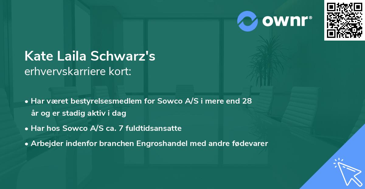 Kate Laila Schwarz's erhvervskarriere kort