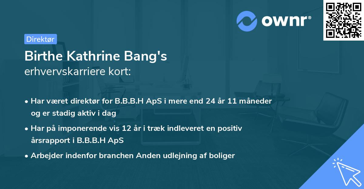 Birthe Kathrine Bang's erhvervskarriere kort
