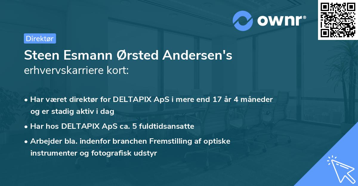 Steen Esmann Ørsted Andersen's erhvervskarriere kort