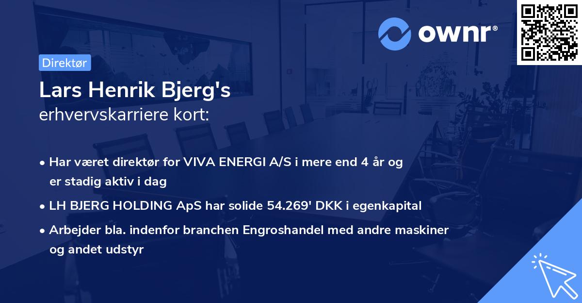 Lars Henrik Bjerg's erhvervskarriere kort