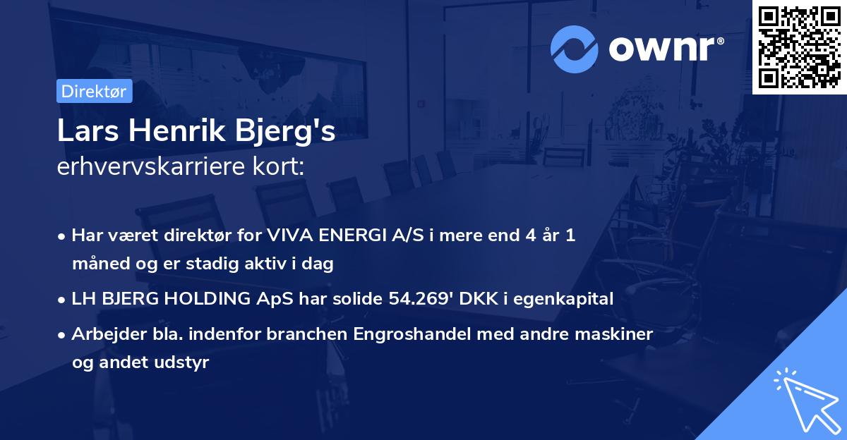 Lars Henrik Bjerg's erhvervskarriere kort