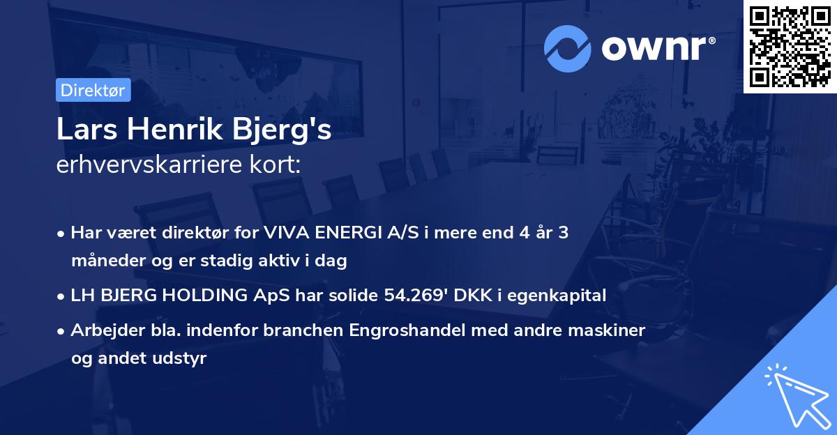 Lars Henrik Bjerg's erhvervskarriere kort
