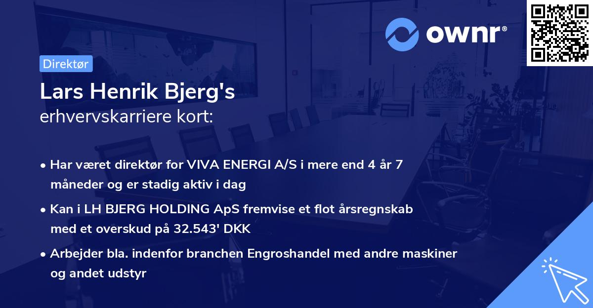 Lars Henrik Bjerg's erhvervskarriere kort
