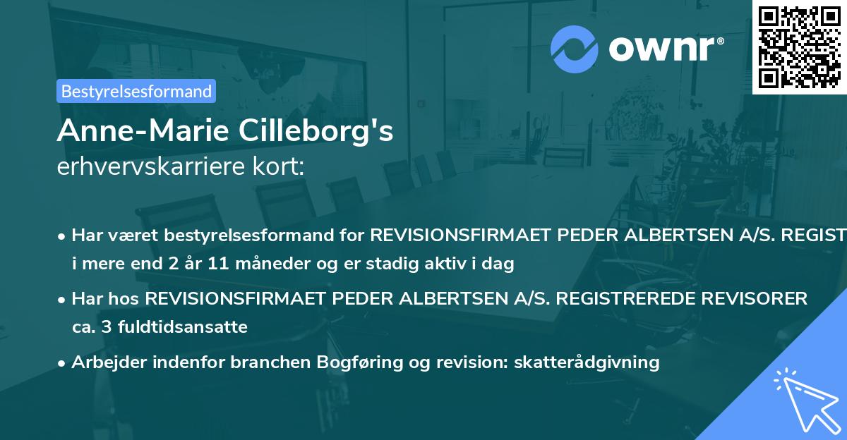 Anne-Marie Cilleborg's erhvervskarriere kort