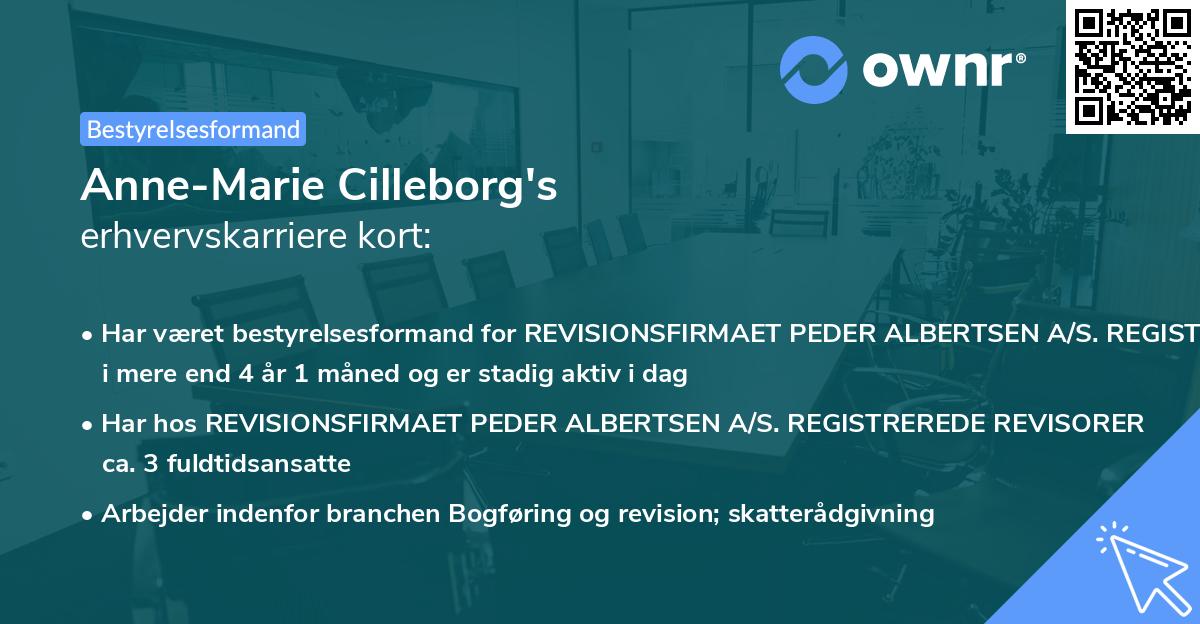 Anne-Marie Cilleborg's erhvervskarriere kort