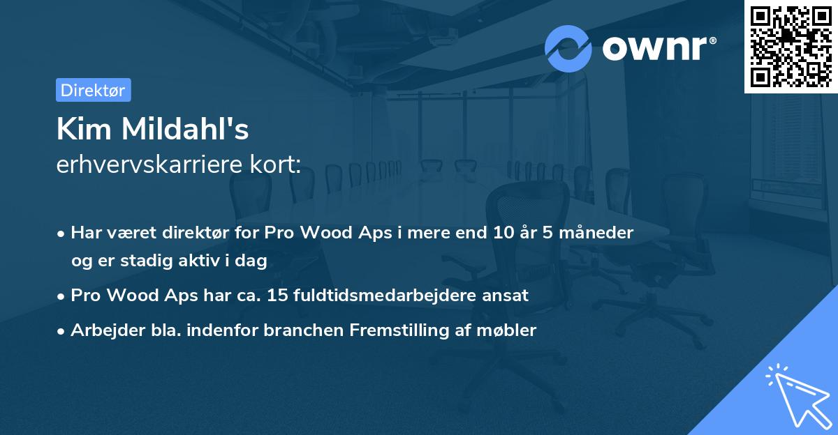 Kim Mildahl's erhvervskarriere kort