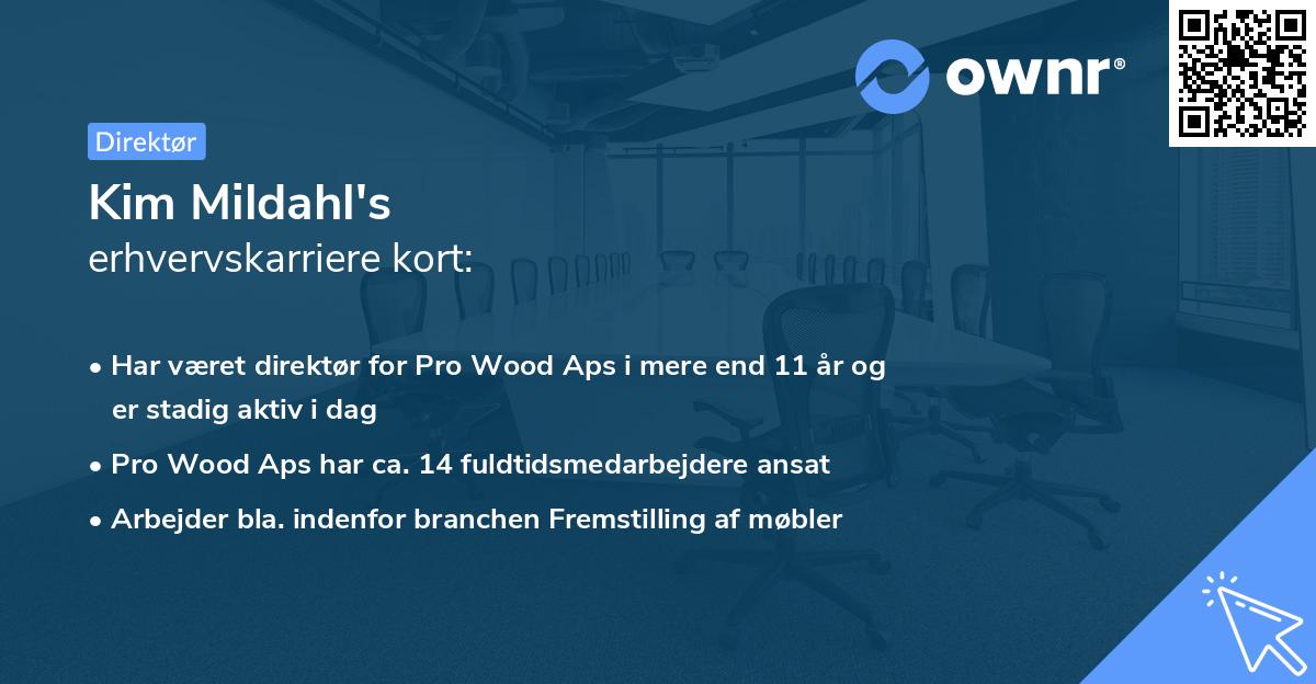 Kim Mildahl's erhvervskarriere kort