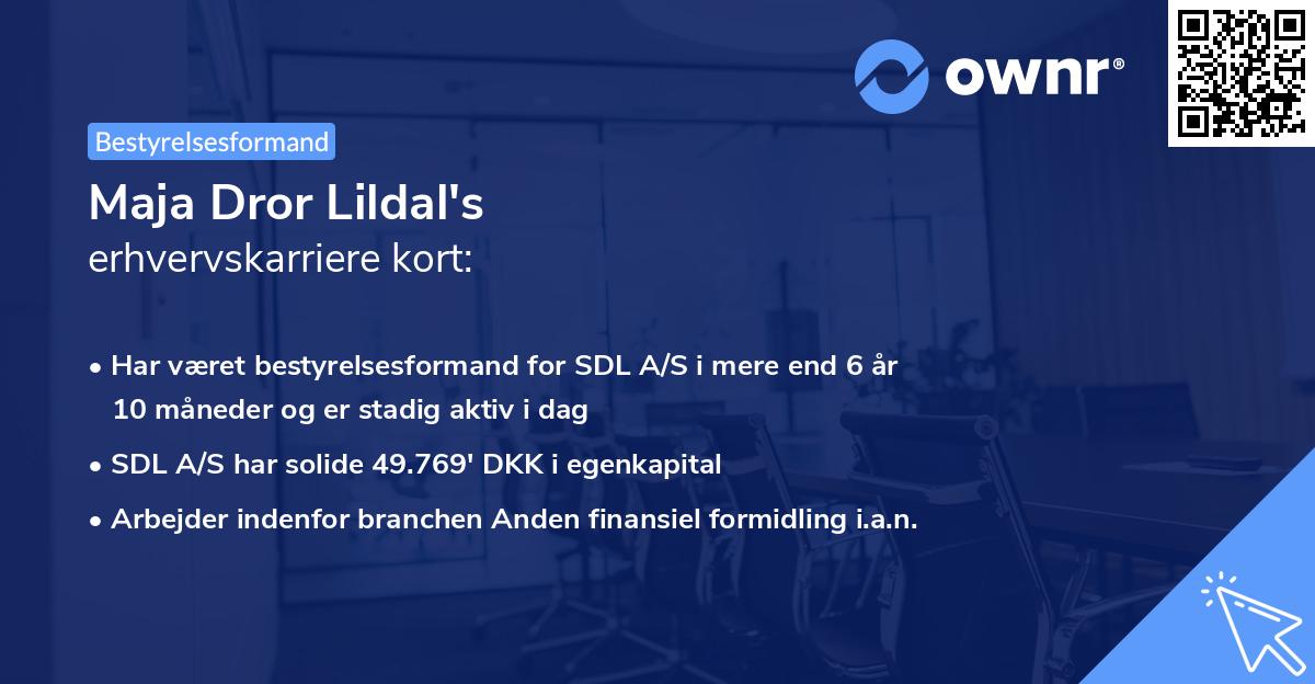 Maja Dror Lildal's erhvervskarriere kort