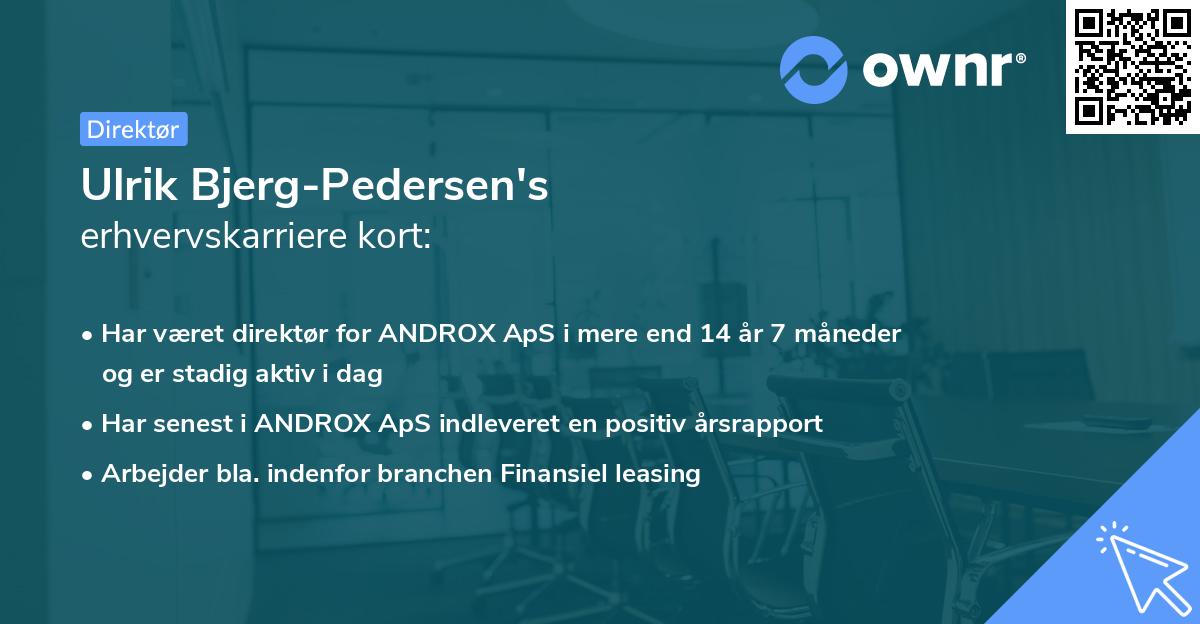 Ulrik Bjerg-Pedersen's erhvervskarriere kort