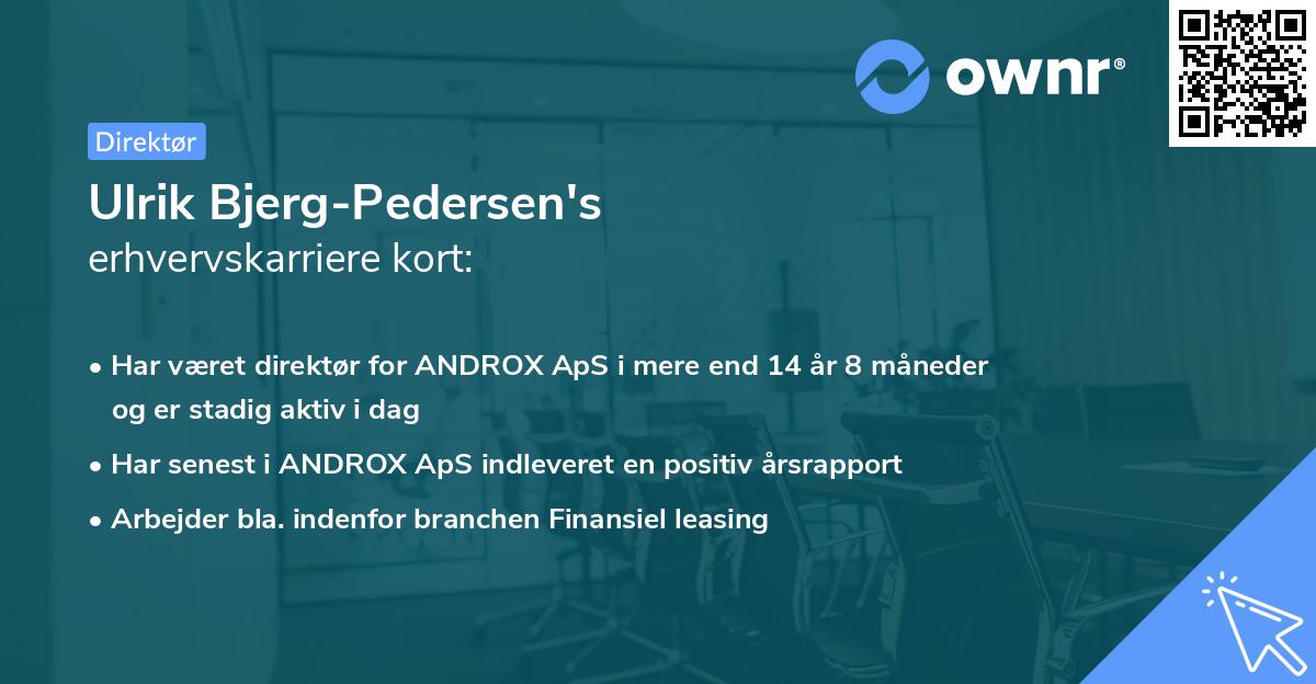 Ulrik Bjerg-Pedersen's erhvervskarriere kort