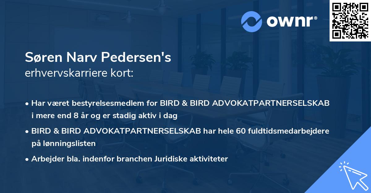 Søren Narv Pedersen's erhvervskarriere kort