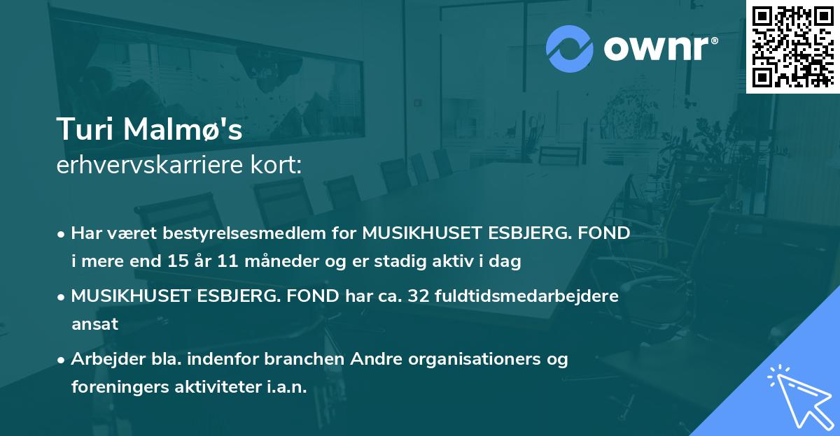 Turi Malmø's erhvervskarriere kort