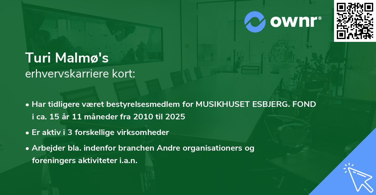 Turi Malmø's erhvervskarriere kort