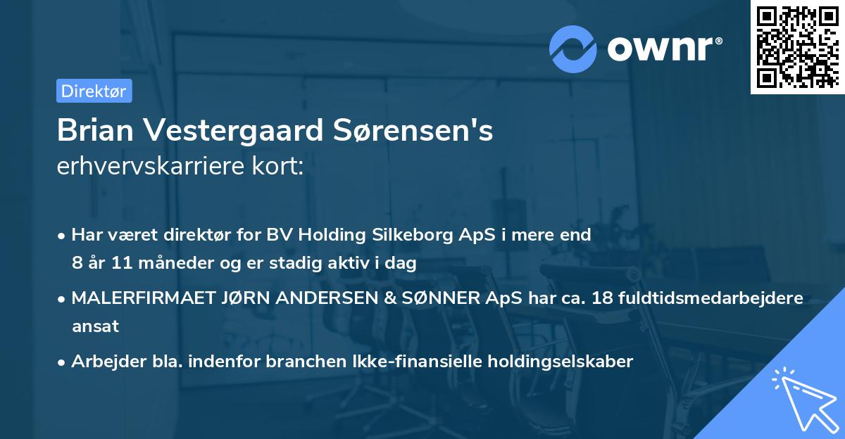Brian Vestergaard Sørensen's erhvervskarriere kort