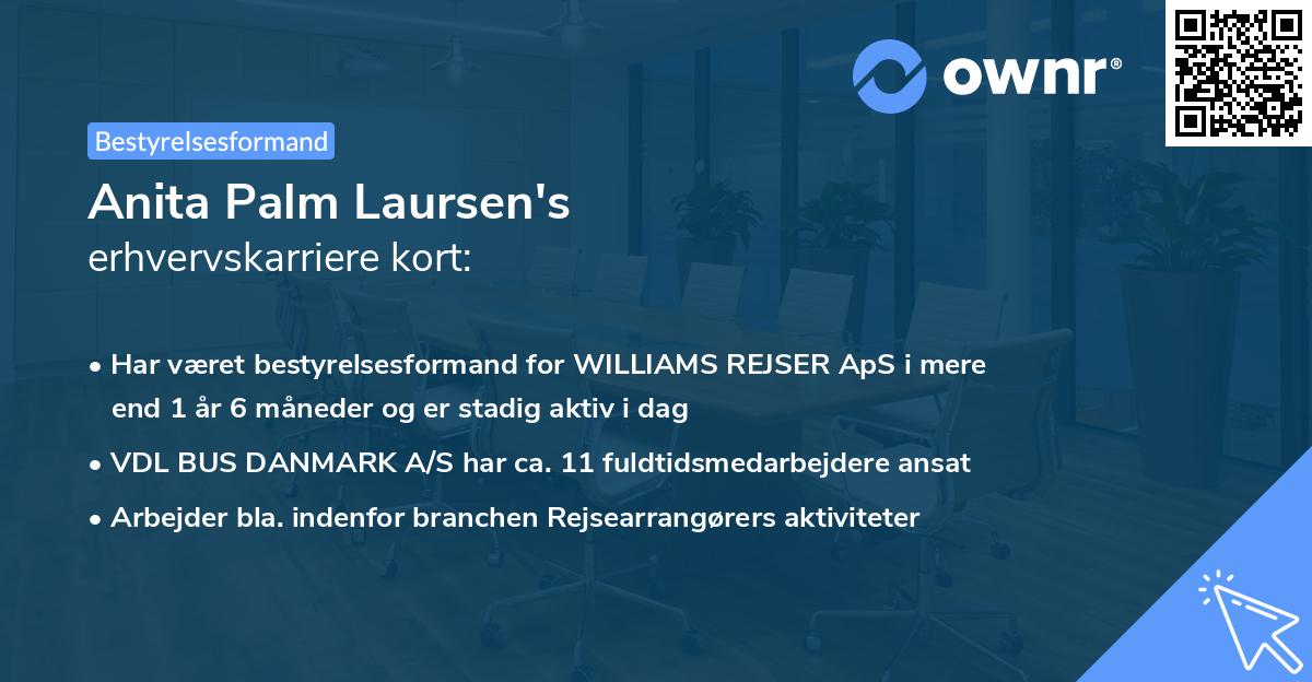 Anita Palm Laursen's erhvervskarriere kort