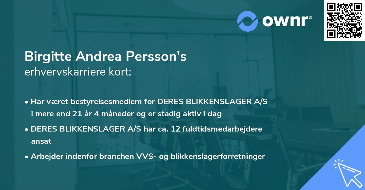 Birgitte Andrea Persson's erhvervskarriere kort