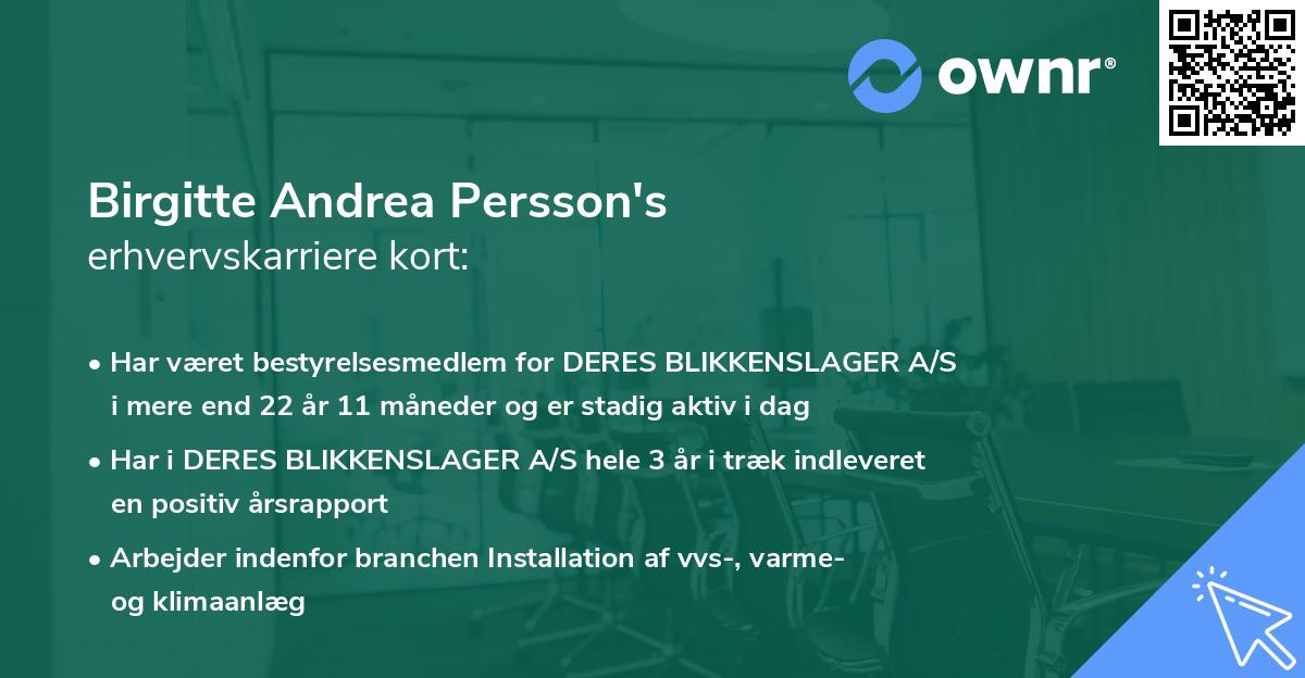 Birgitte Andrea Persson's erhvervskarriere kort