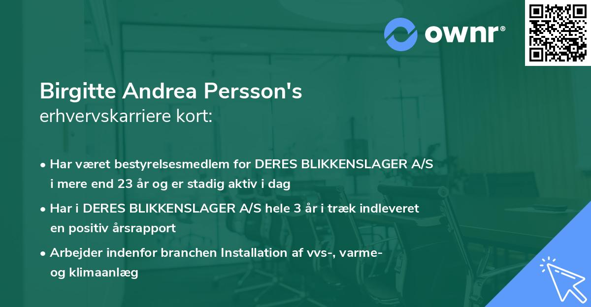 Birgitte Andrea Persson's erhvervskarriere kort