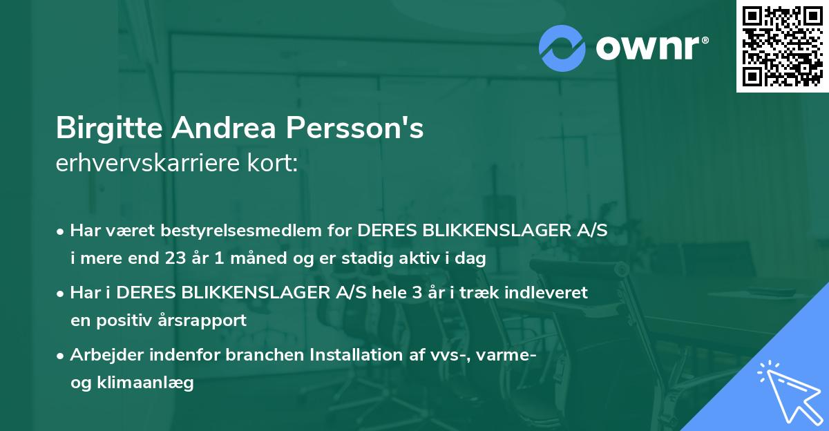 Birgitte Andrea Persson's erhvervskarriere kort