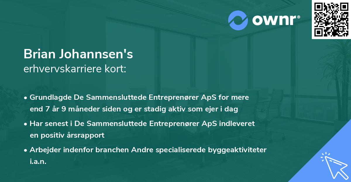 Brian Johannsen's erhvervskarriere kort