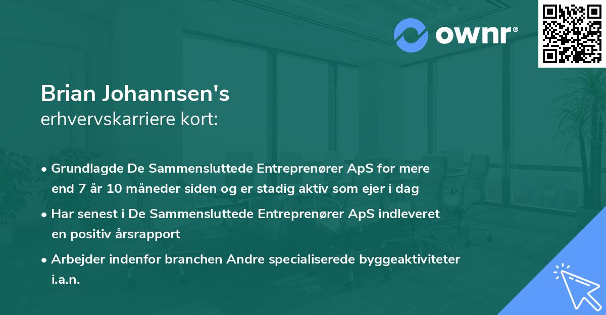 Brian Johannsen's erhvervskarriere kort