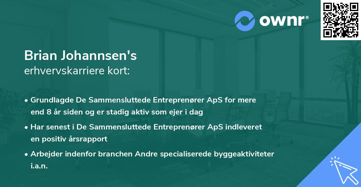 Brian Johannsen's erhvervskarriere kort