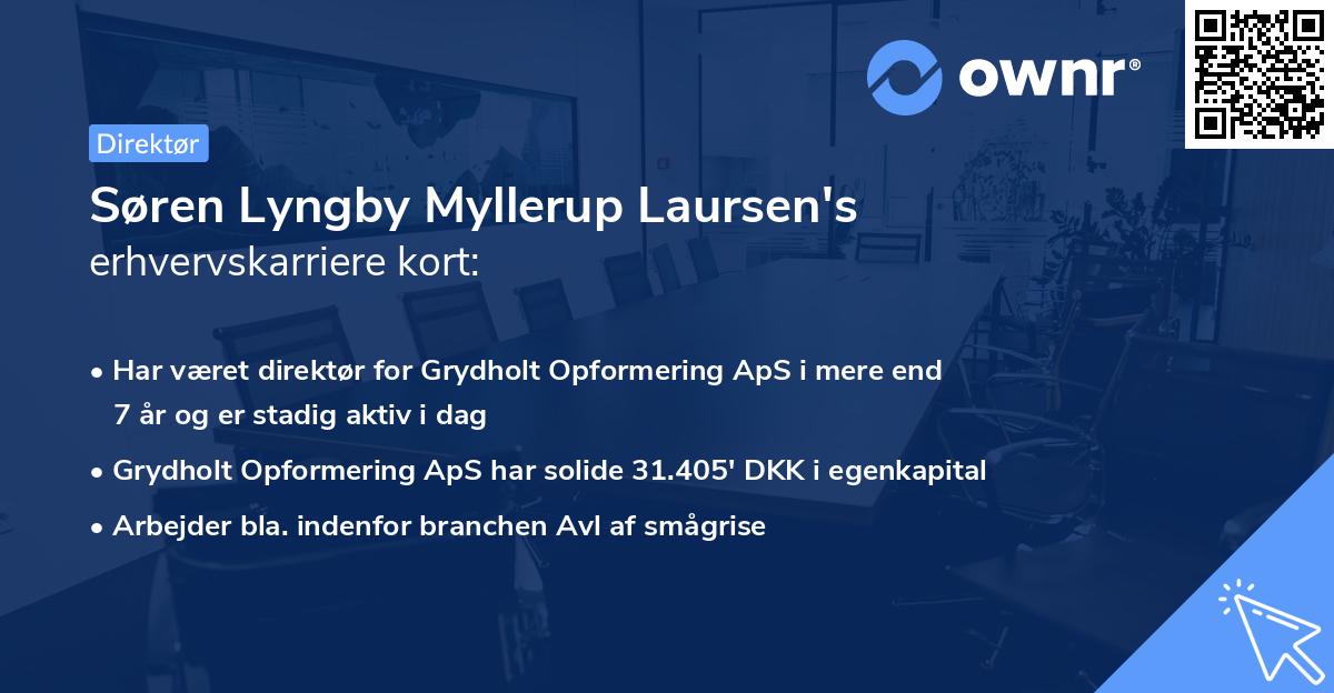 Søren Lyngby Myllerup Laursen's erhvervskarriere kort