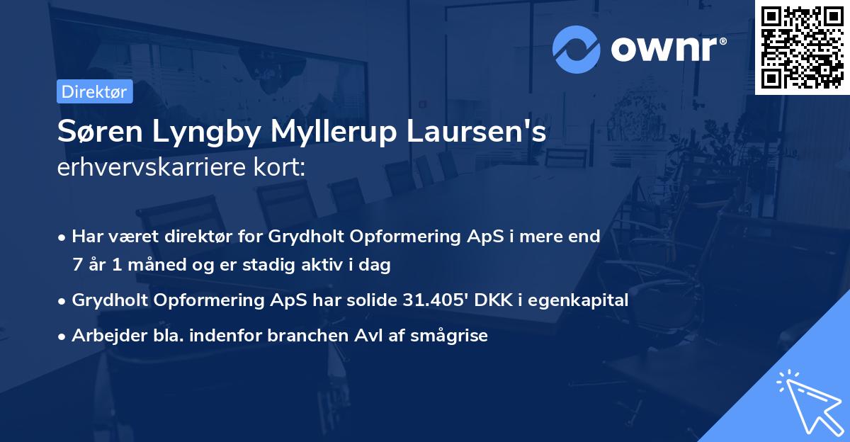 Søren Lyngby Myllerup Laursen's erhvervskarriere kort