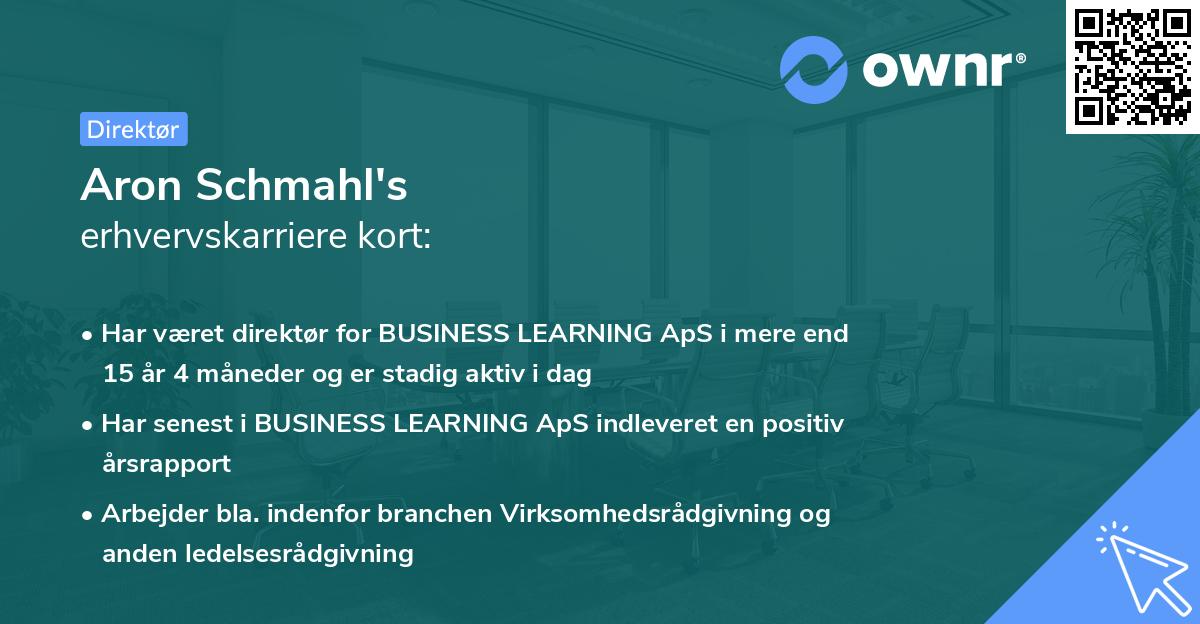 Aron Schmahl's erhvervskarriere kort