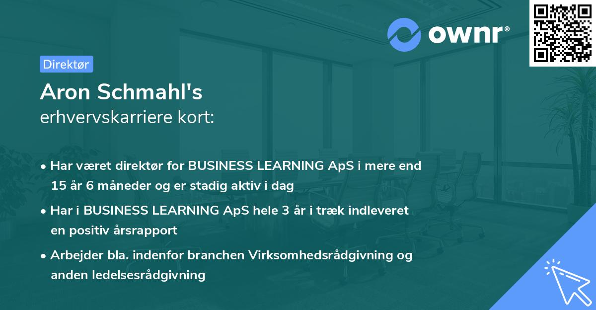 Aron Schmahl's erhvervskarriere kort