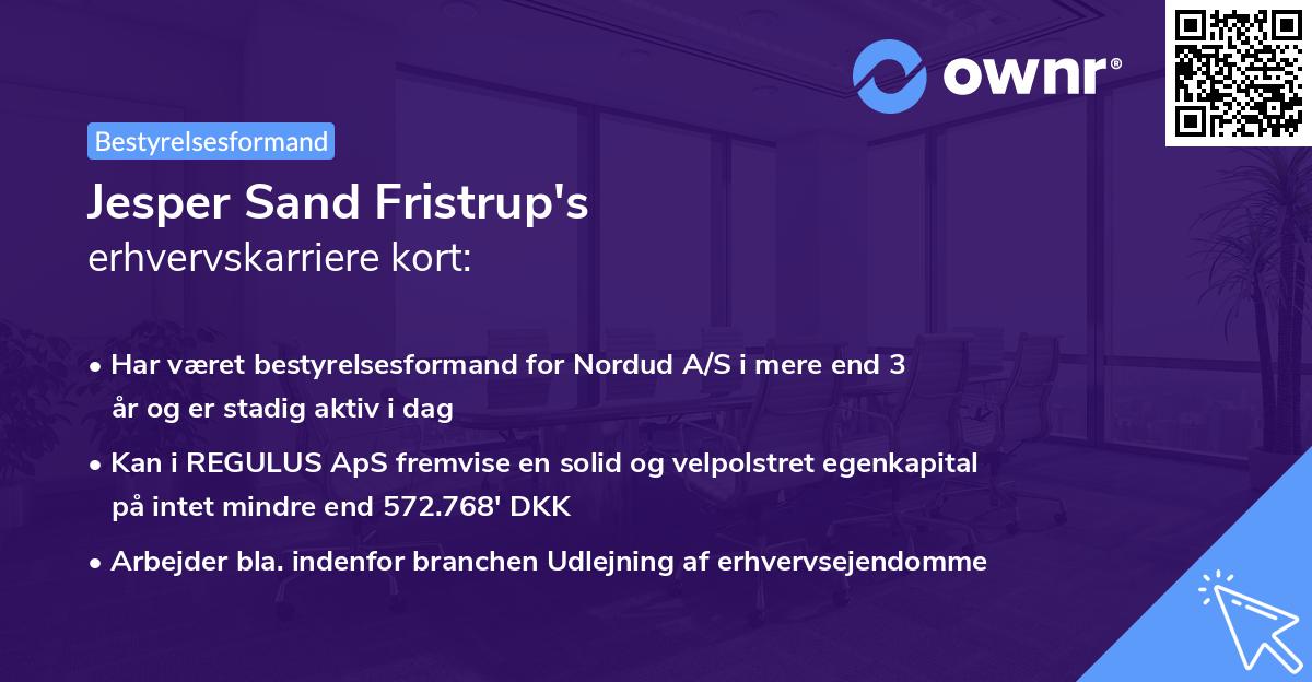Jesper Sand Fristrup's erhvervskarriere kort